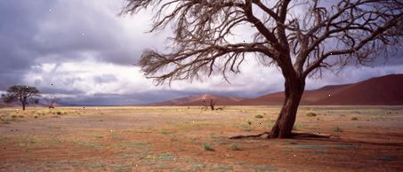 Reise medisin - afrika